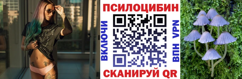 Купить где  Яровое  Галлюциногенные грибы Psilocybine cubensis 